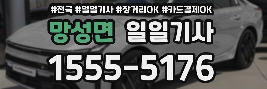 망성면 일일기사