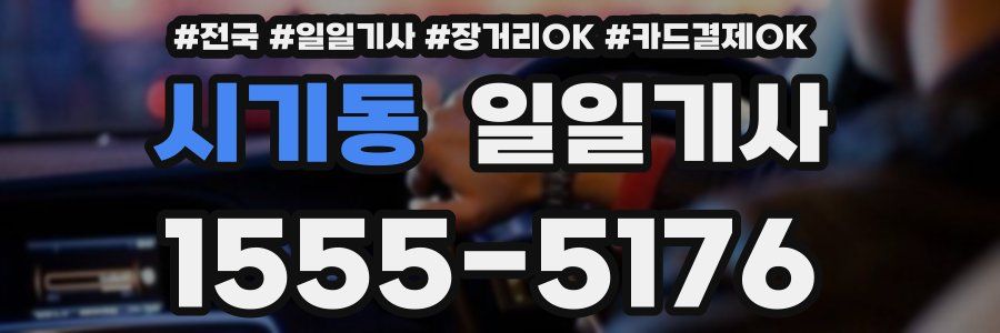 시기동 일일기사