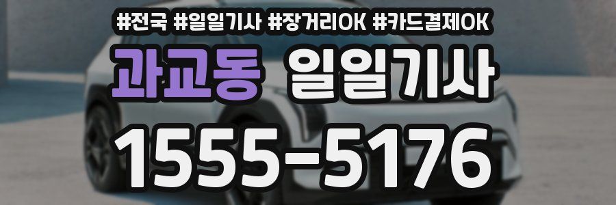 과교동 일일기사