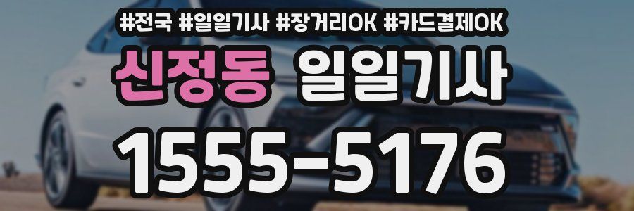 신정동 일일기사