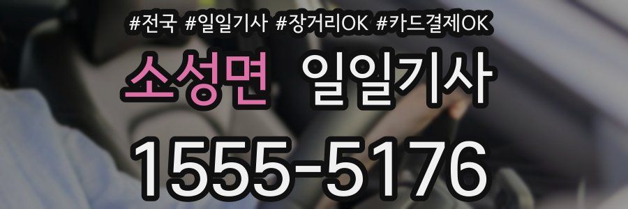 소성면 일일기사