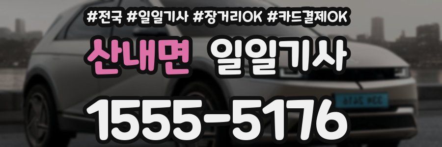 산내면 일일기사