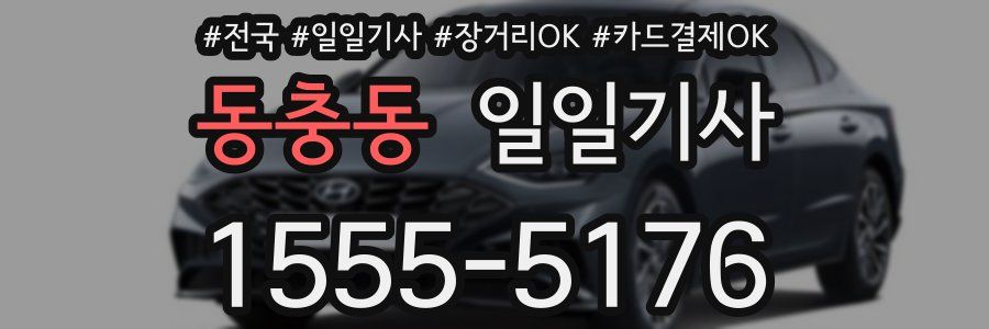 동충동 일일기사