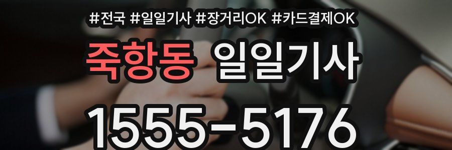 죽항동 일일기사