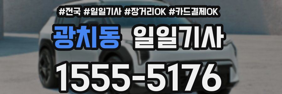 광치동 일일기사