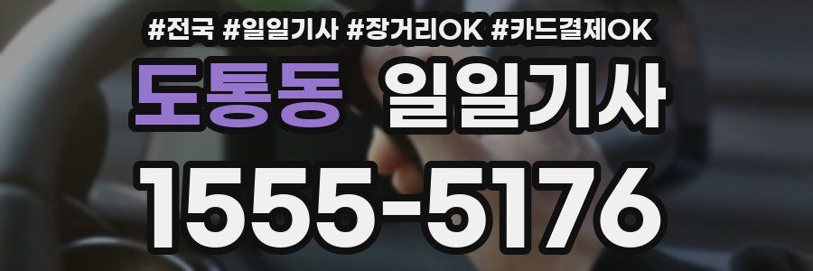 도통동 일일기사
