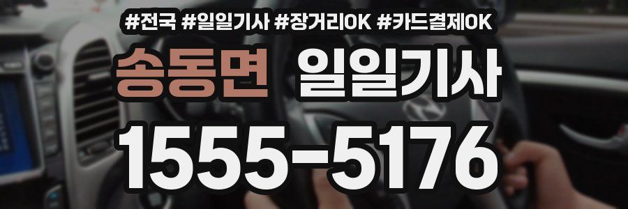 송동면 일일기사