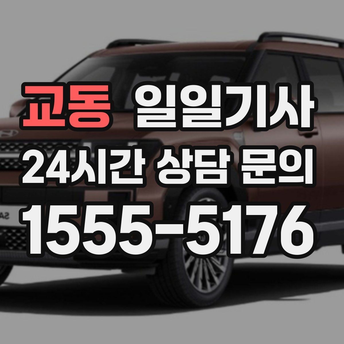 교동 일일기사 무리한 코스 배제 안전 우선