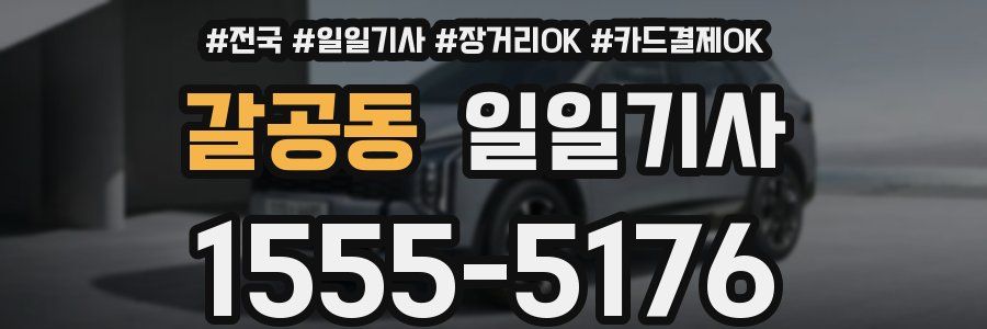 갈공동 일일기사