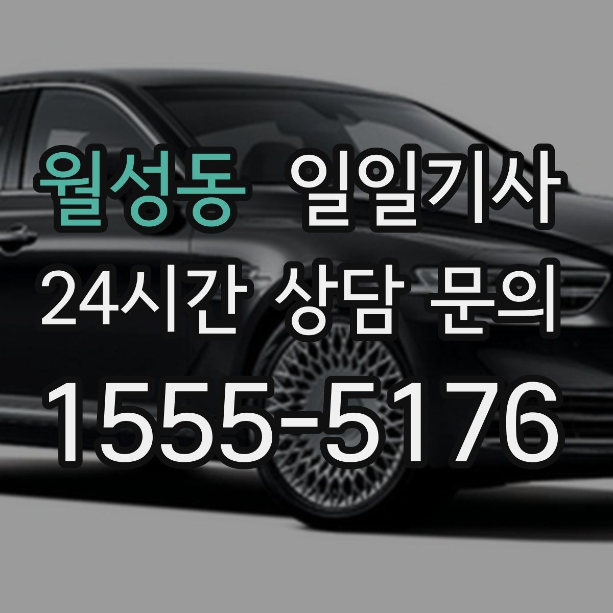 월성동 일일기사 일정 마감까지 책임 운행