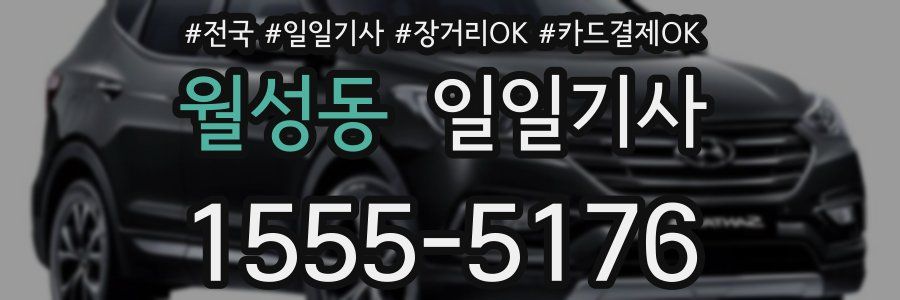 월성동 일일기사