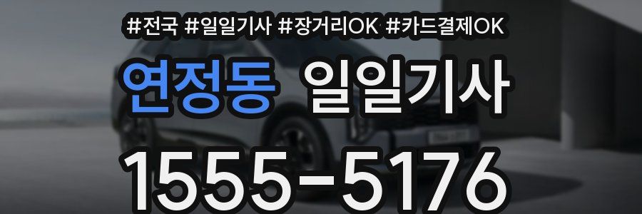 연정동 일일기사
