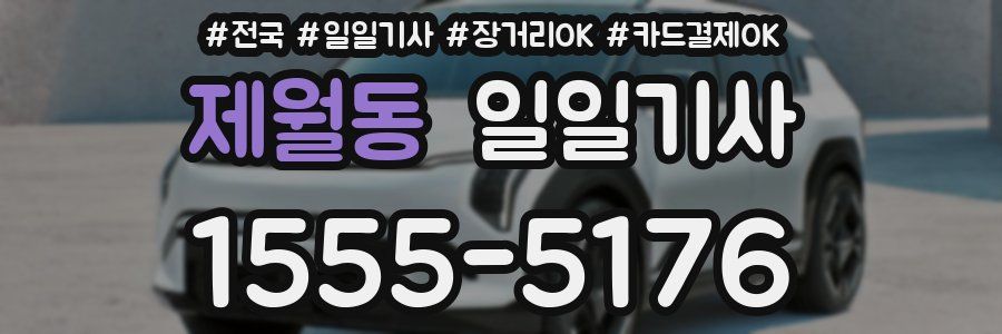 제월동 일일기사