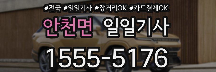 안천면 일일기사