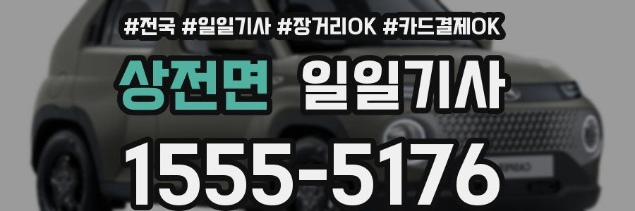 상전면 일일기사