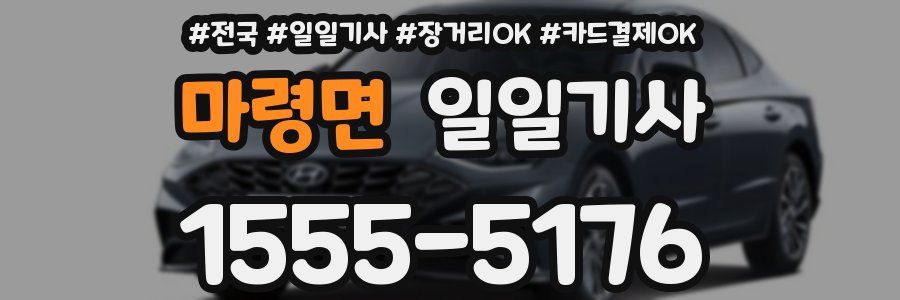 마령면 일일기사