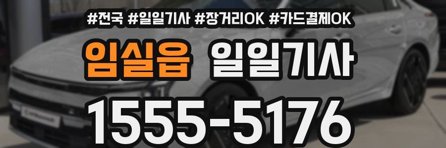 임실읍 일일기사