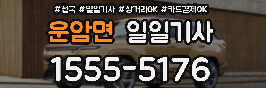 운암면 일일기사