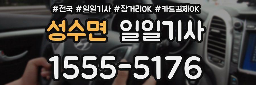 성수면 일일기사