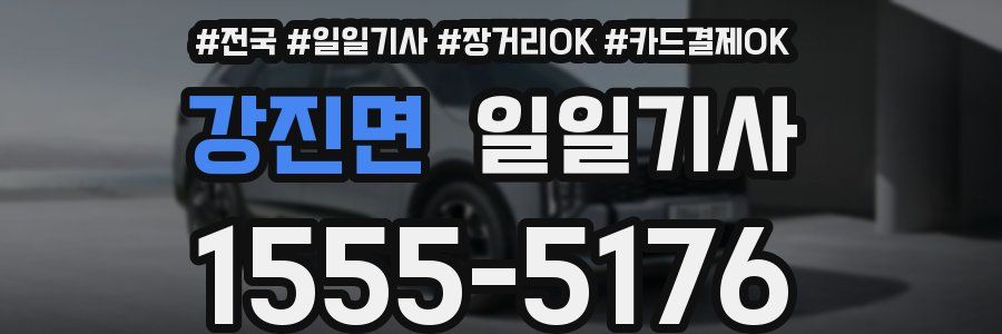 강진면 일일기사