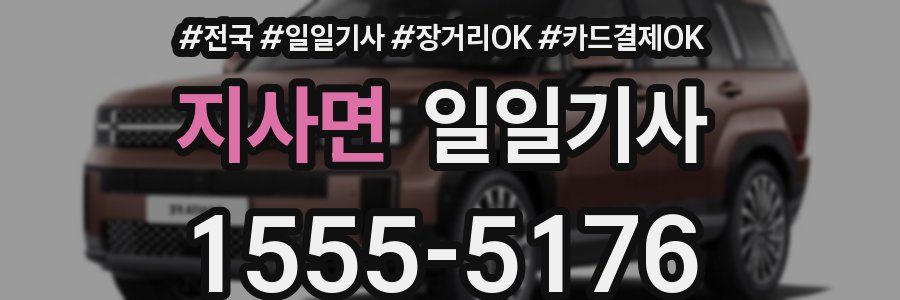 지사면 일일기사