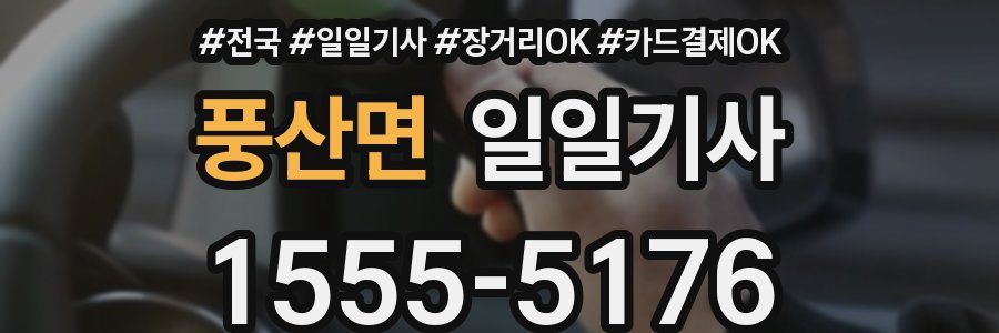 풍산면 일일기사