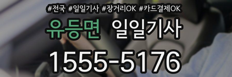 유등면 일일기사