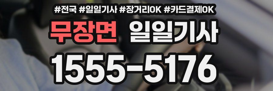 무장면 일일기사