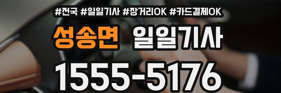 성송면 일일기사