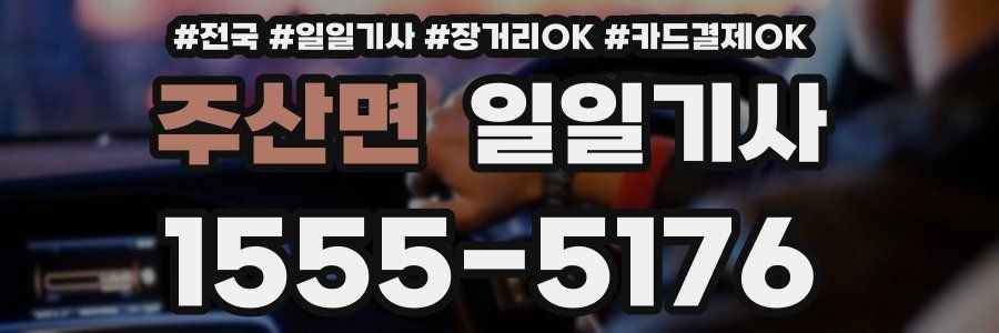 주산면 일일기사