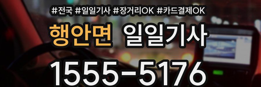 행안면 일일기사