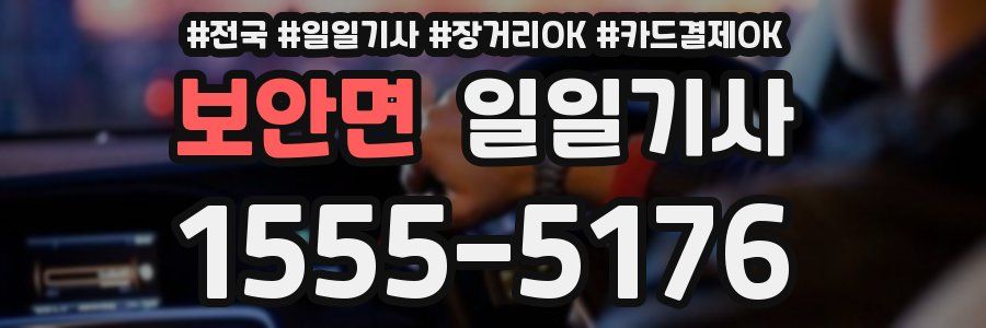 보안면 일일기사