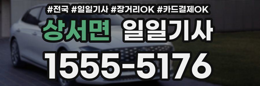 상서면 일일기사