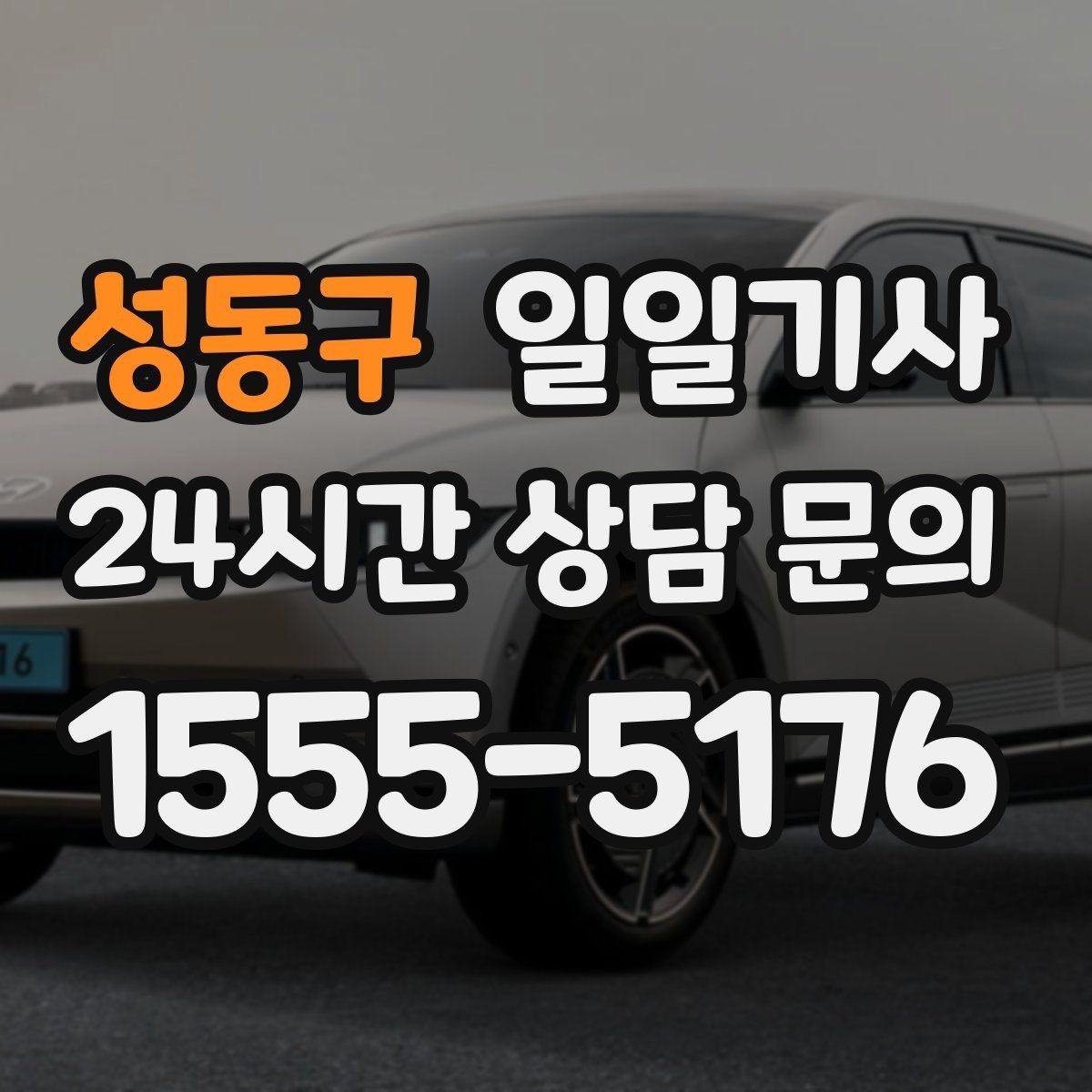 성동구 일일기사 전시장 차량 이동도 깔끔하게