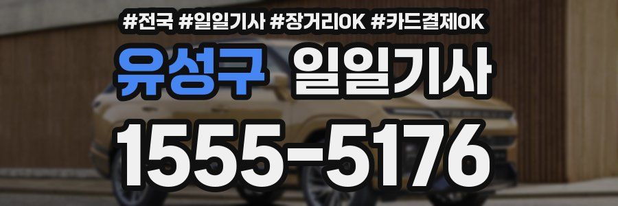 유성구 일일기사