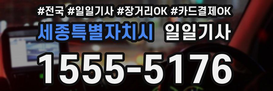 세종특별자치시 일일기사