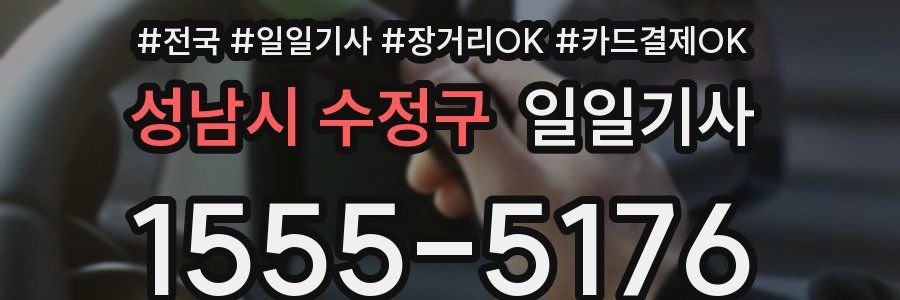 성남시 수정구 일일기사