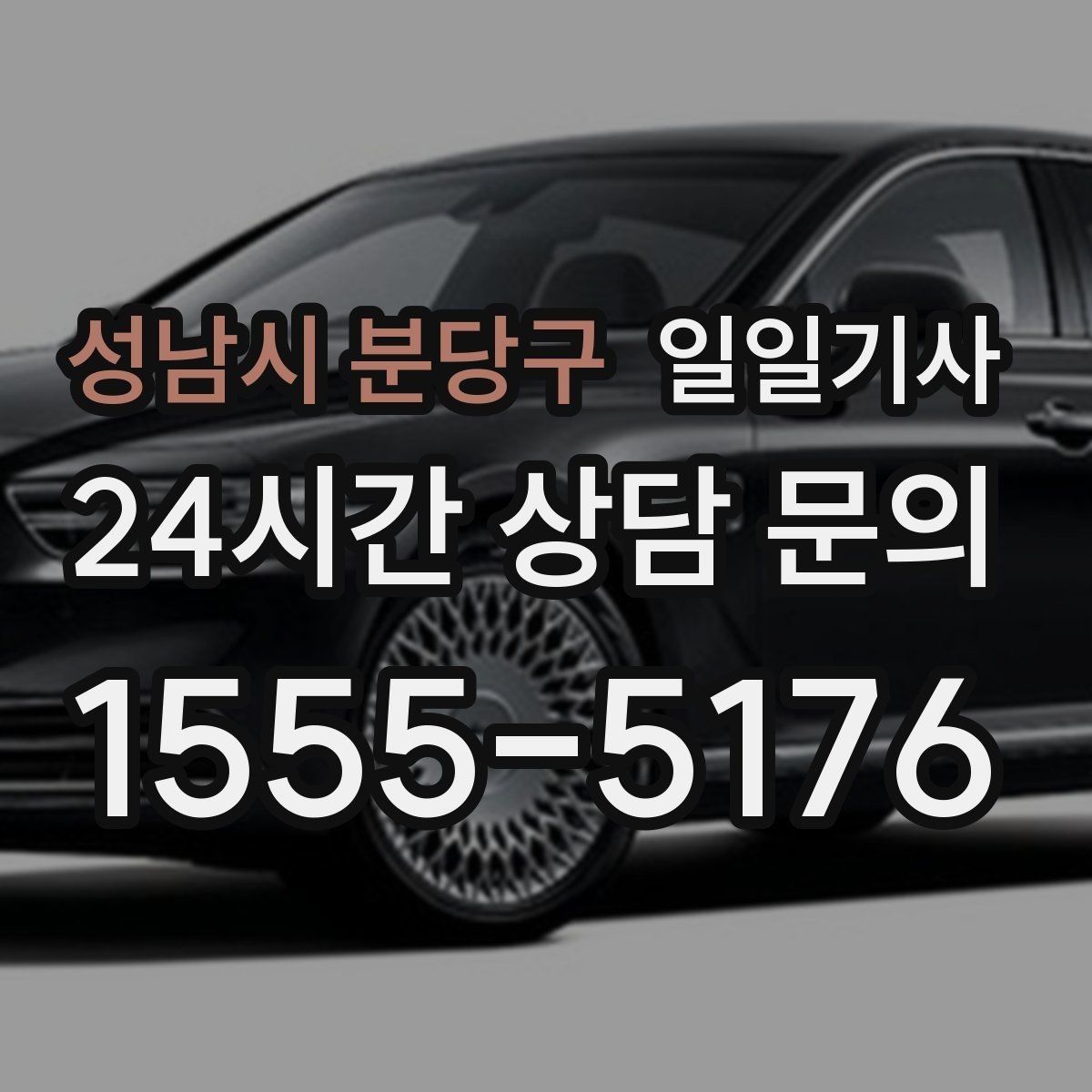 성남시 분당구 일일기사 공항과 미팅을 한 노선에 담는 하루