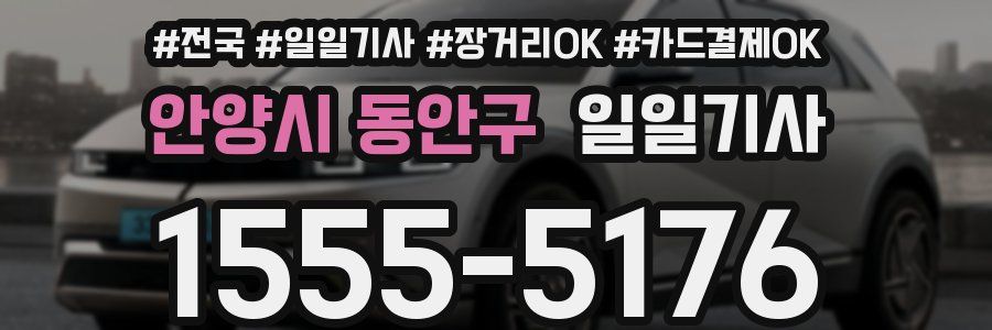 안양시 동안구 일일기사