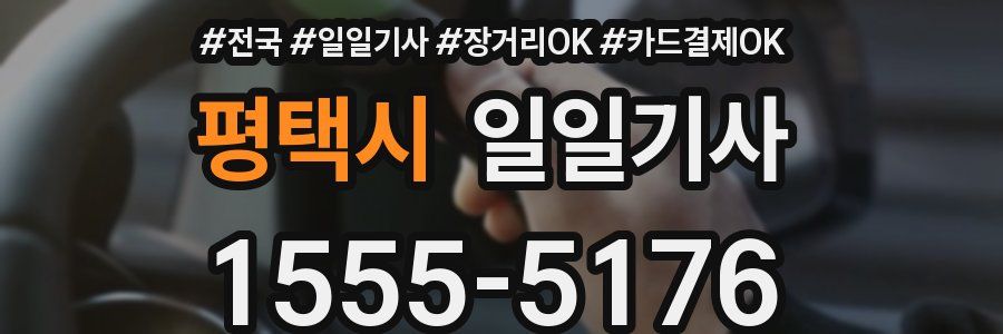 평택시 일일기사