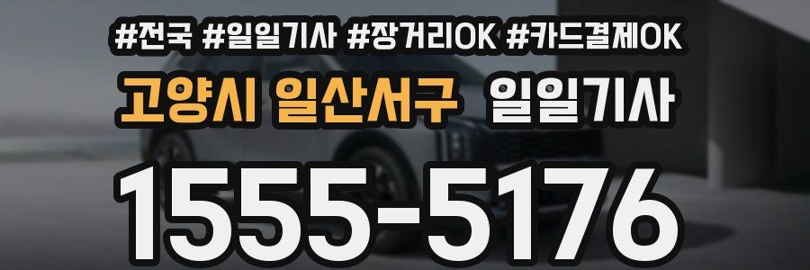 고양시 일산서구 일일기사