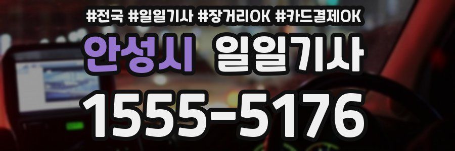 안성시 일일기사