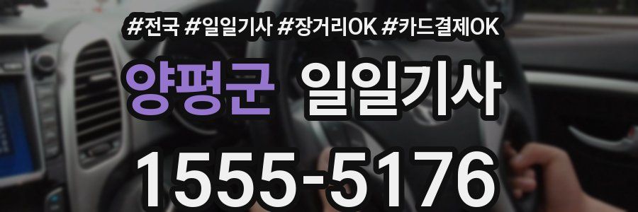 양평군 일일기사