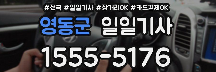 영동군 일일기사