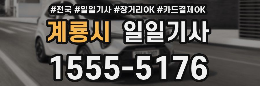 계룡시 일일기사