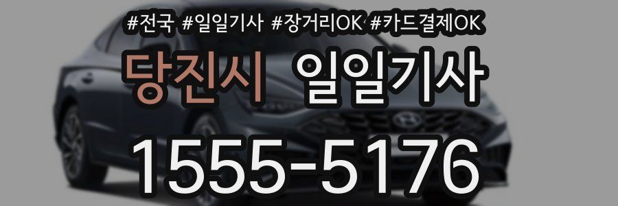 당진시 일일기사