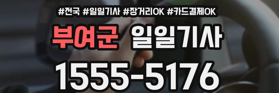 부여군 일일기사
