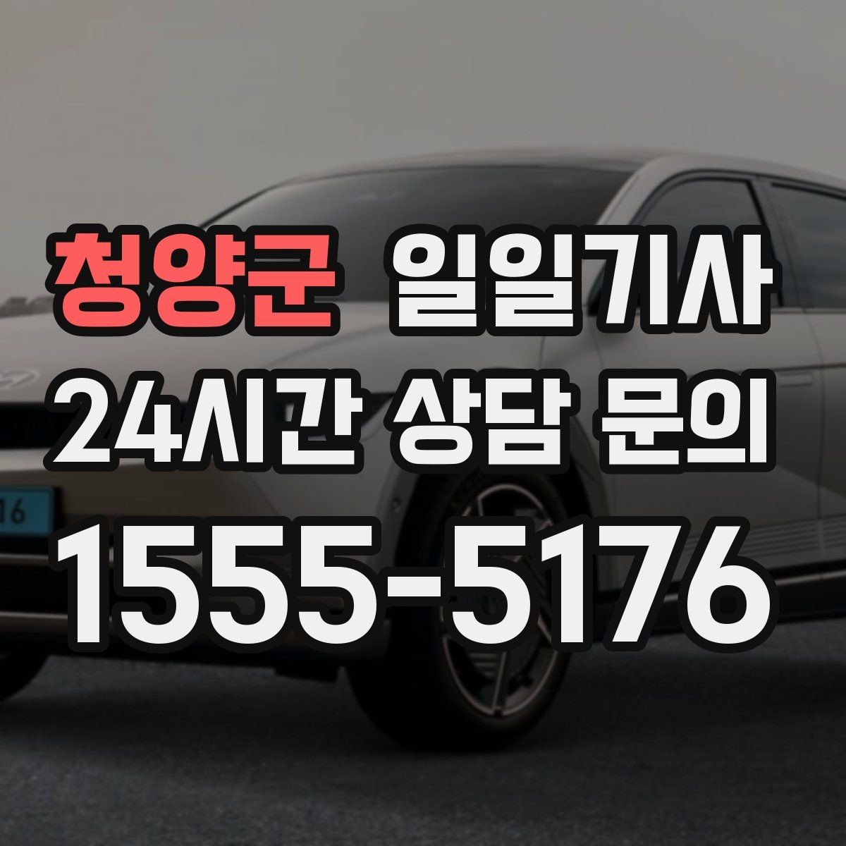 청양군 일일기사 필요할 때 곁을 지키는 안전 동행