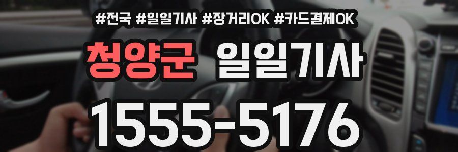 청양군 일일기사