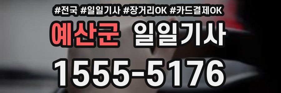 예산군 일일기사
